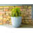 Karola Pot Planter-1210281156-1210281157
