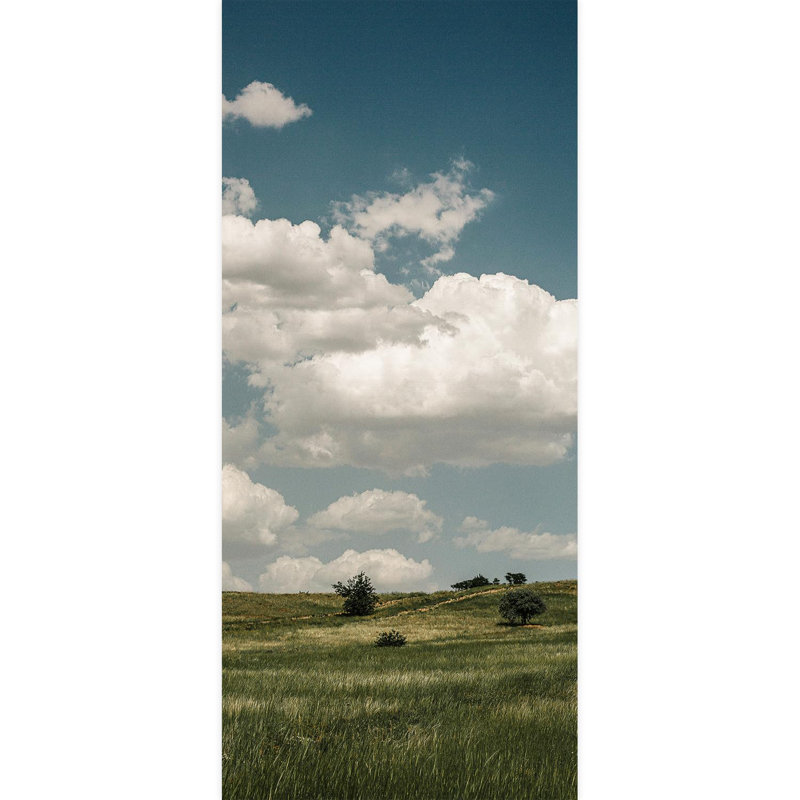 Peel & Stick Border, 108" L x 48" W