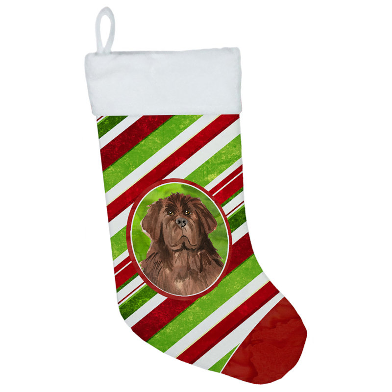 Chaussette de noël à rayures à sucre, Terre-neuve