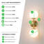 Anjelyna Brass and Frosted Glass Wall Light - Classy Two Light Sconce, Chic Modern Design