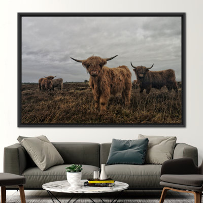 Highland Cow Canvas Art - Striking Wild Bison Nature Inspired Wildlife Wall Decor