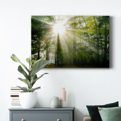 " Light And Trees II "
