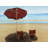 Relax at the beach - Sea Marine Framed Canvas for Home Decor-119954794