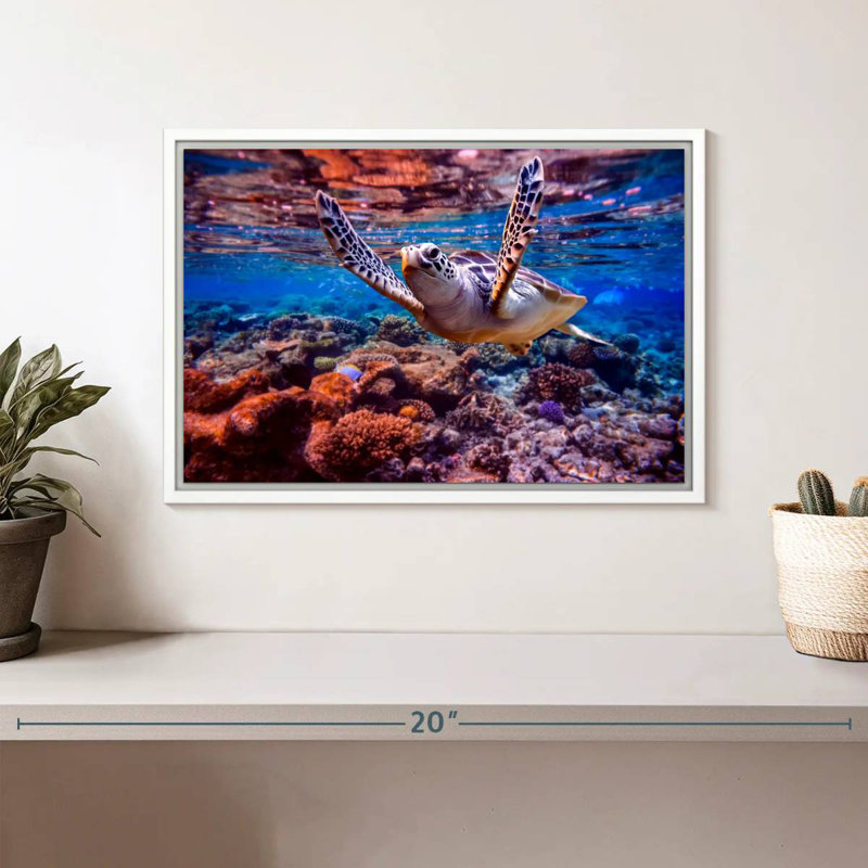 Tortue de mer sur un récif de corail, Cadre flottant blanc, 13 po x 9 po