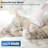 Pet Grooming Vacuum Kit, 13.4Kpa Suction Dog Grooming Vacuum With 5 Professional Pet Grooming Tools For 99% Pet Hair, Pet Grooming Kit 2L Large Capacity Container,For Dogs Cats Pet Hair Home Cleaning-116865075