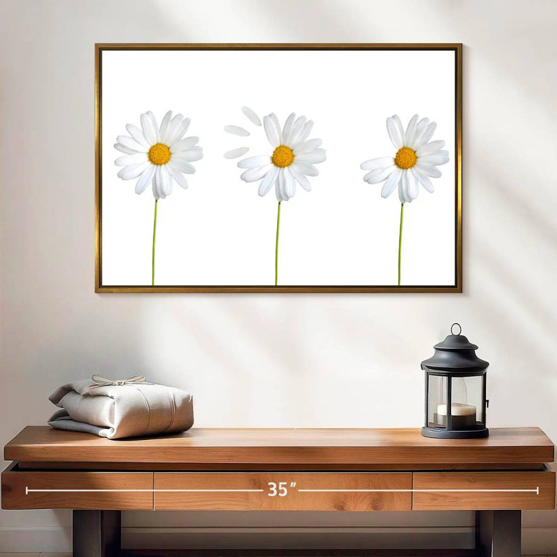 Marguerites plumées, Cadre flottant doré, 43 po x 29 po