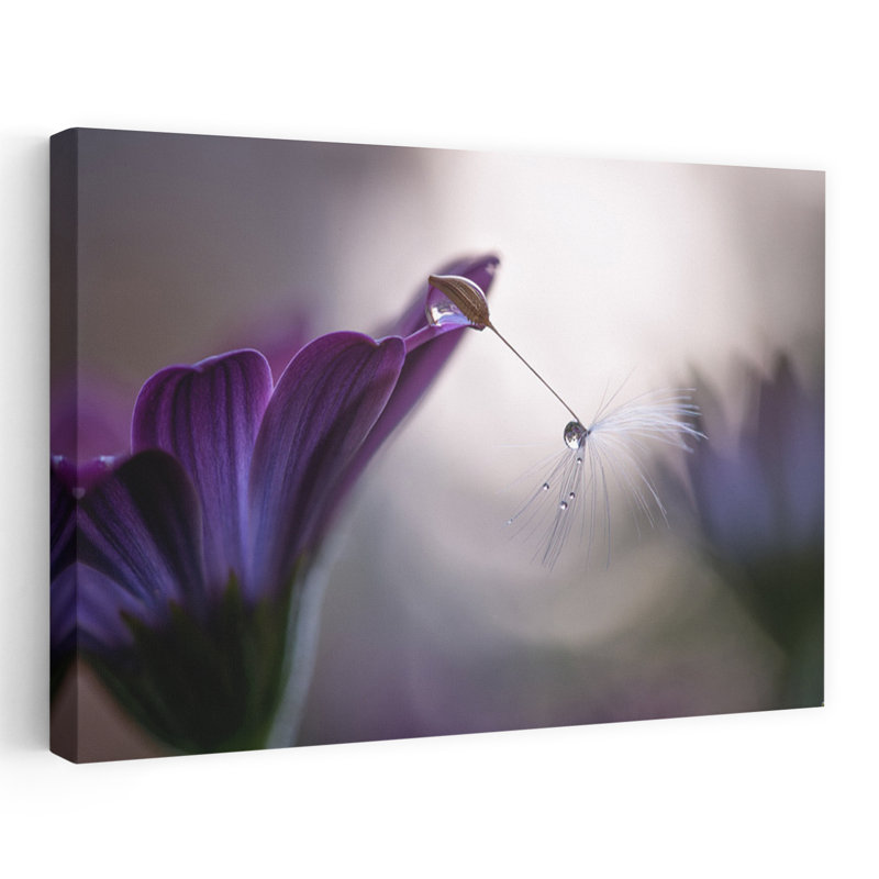 Purple Flower Dewdrop Delicate Peaceful Serene Dandelion Flower Nature Wall Art Print 1 Piece Wrapped Canvas Wall Art