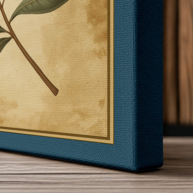 Olive Branch Study Botanical - Wrapped Canvas, 24x16 - 61.0 x 40.6 cm, Teal Border