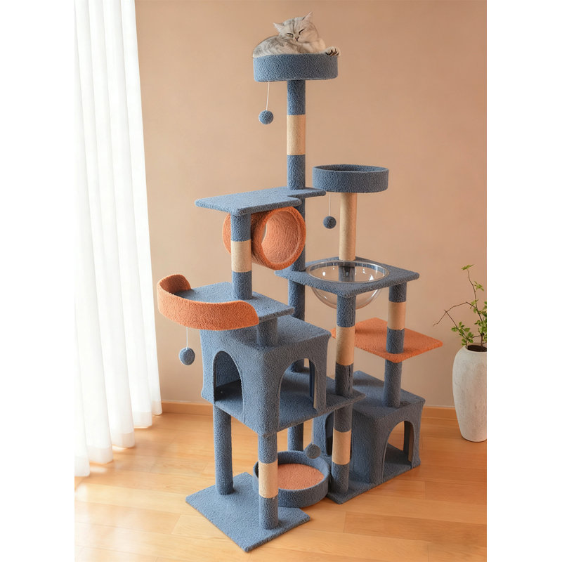 Structure d'escalade pour chat 63,78 pouces