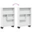 Ricaria 68cm H x 48cm W Bookcase-1511602893