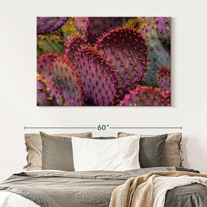 Harnek Angel Wing Cactus, 34" H x 51" W