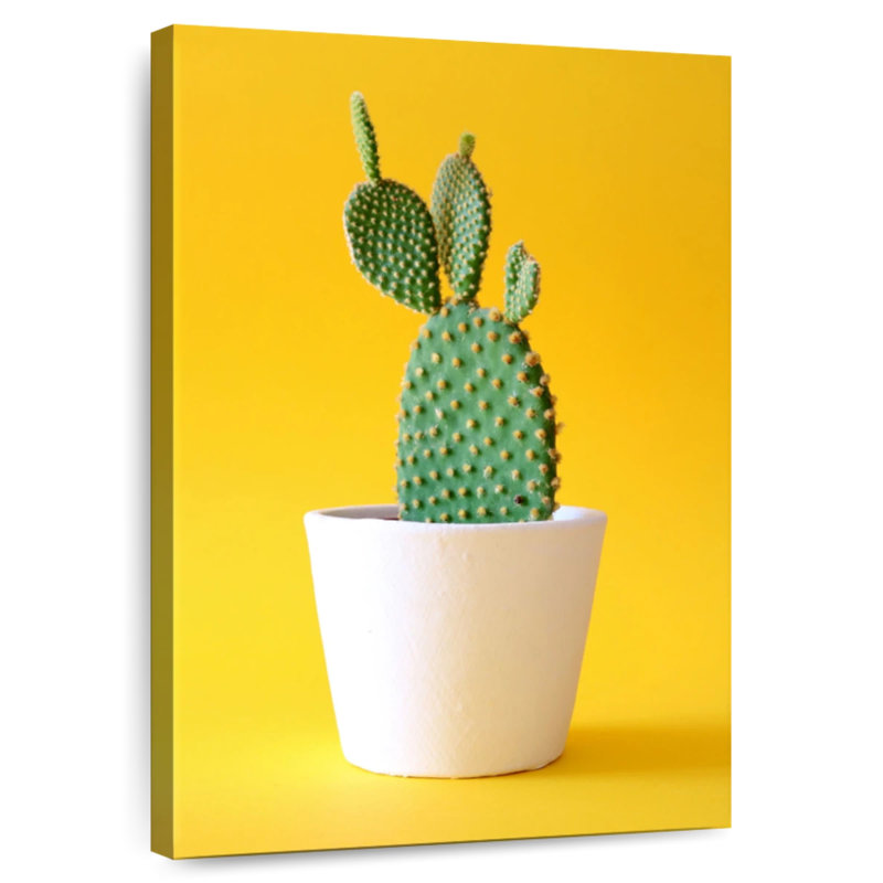 Harnek Potted Prickly Pear Cactus, 36" H x 24" W