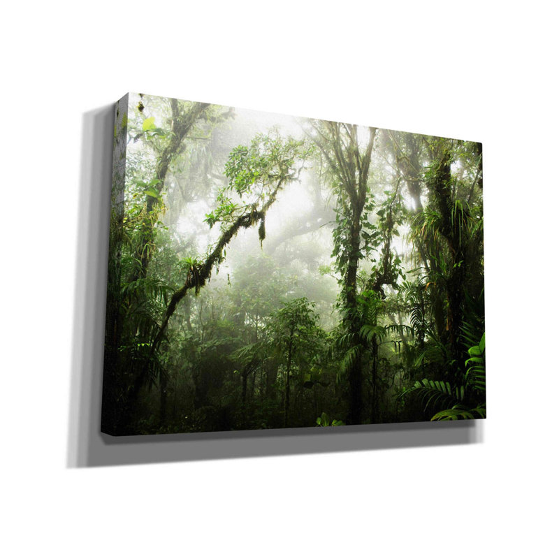 «Clodud Forest» par Nicklas Gustafsson, art mural sur toile, 16 po x 12 po, H 40 po x l 54 po x P 1,5 po