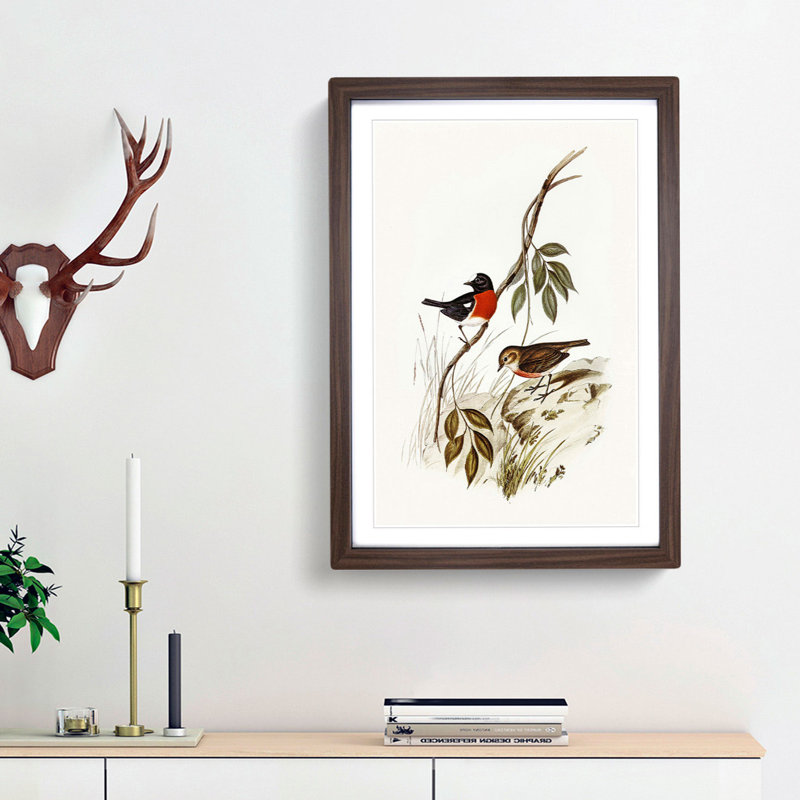 Norfolk Island Robin by Elizabeth Gould - Framed Print, 48cm H x 36cm W x 2cm D, Walnut Framed
