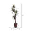 Arbre de margarata Executive en panier