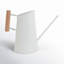 Preston Watering Can-996269417