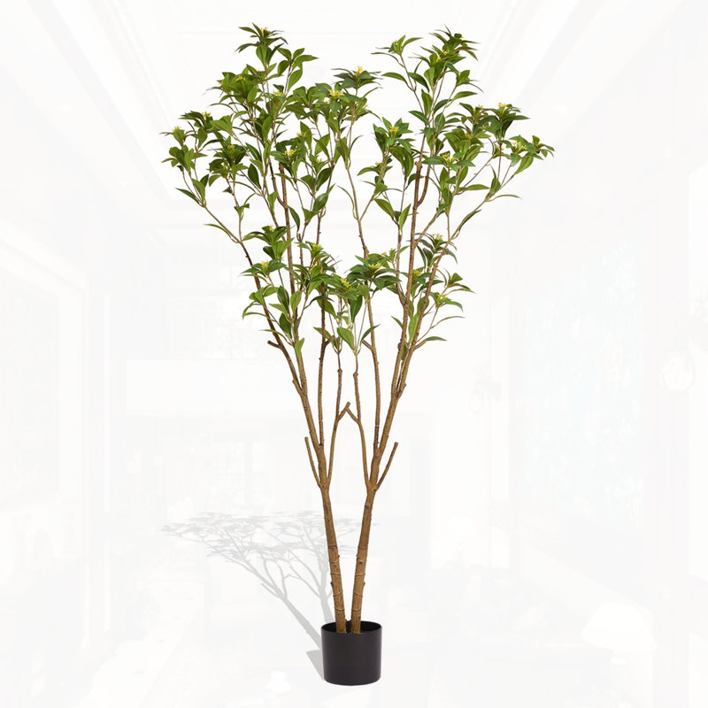 Arbre à agrumes 63 "H 63" 1pc / ensemble