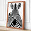 Zebra Face Graphic - Wrapped Canvas-1259601512-1259601513