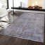 Oriental Area Rug in Gray