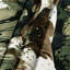Tapisserie murale Dogs German Shorthaired-133646458