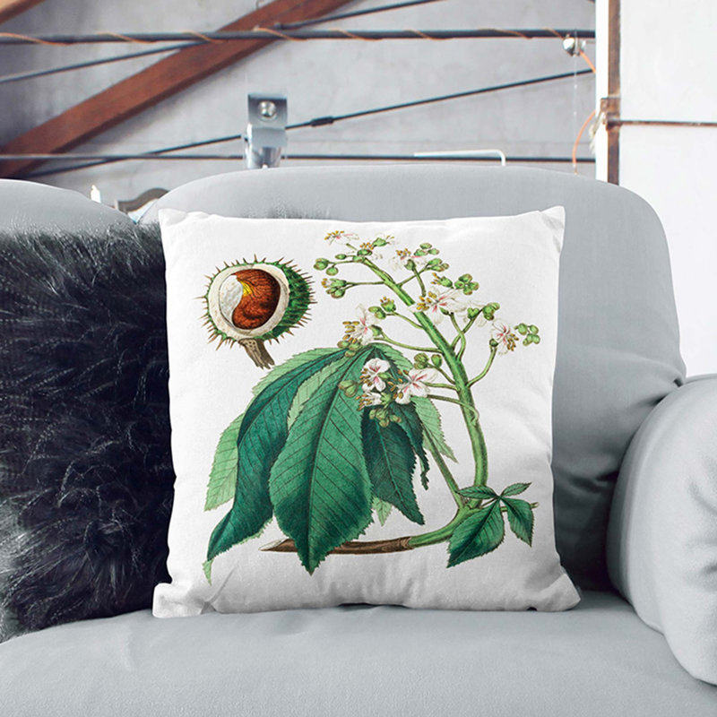 European Horse-Chestnut Tree Illustration Cushion with Filling, 40cm H x 40cm W x 15cm D