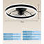 Ceiling Fan with LED Lights