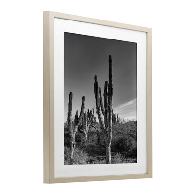 Cactus Field & Vast Sky, reproduction encadrée sous verre, design par Norm Stelfox