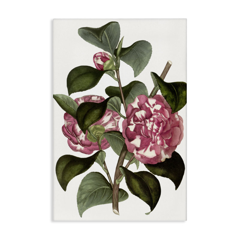 Art mural sur toile fleurs d'œillets sauvages, design par Annabelle Hall, H 30 po x l 20 po