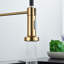 Belfry Kitchen Henleaze Pull Down Kitchen Faucet