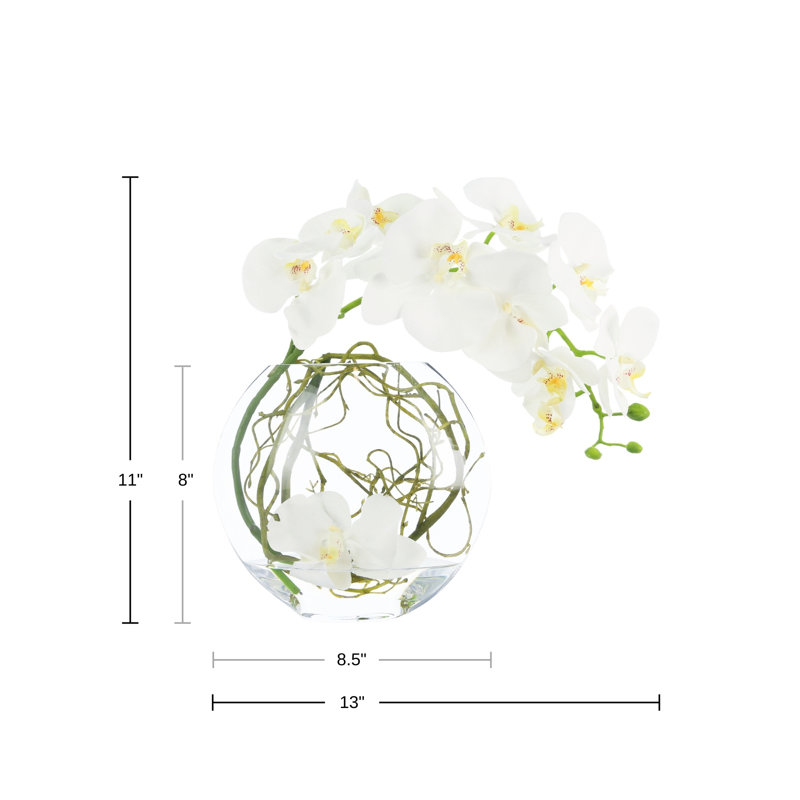 Orchid and Vine Arrangement in Glass Vase, White