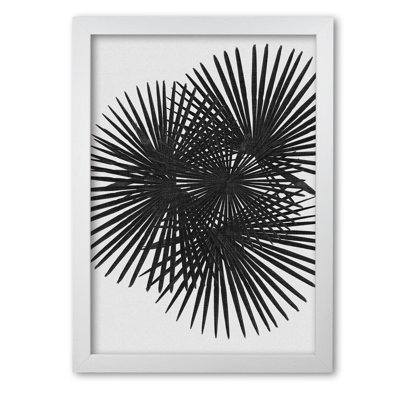 Fan Palm - Print on Canvas