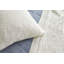 Panama Sham-1499386702-1499386705