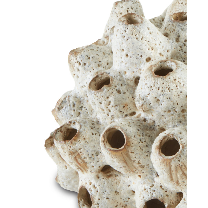 Sulawesi Shells Sculpture