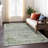 Machine Washable Indoor/Outdoor Xhevrie Aloe Rug-1099839993