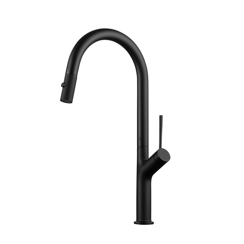 DAX Pull Out Kitchen Faucet, Brushed Nickel