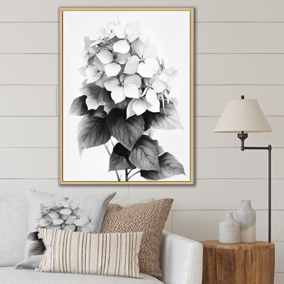 " Gray White Hydrangea Bloom IV "