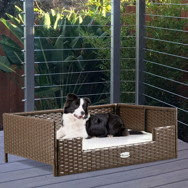 Canapé en rotin pour chien avec coussin en mousse, Moyen (l 34,6 po x P 23,6 po x H 11,6 po), Blanc