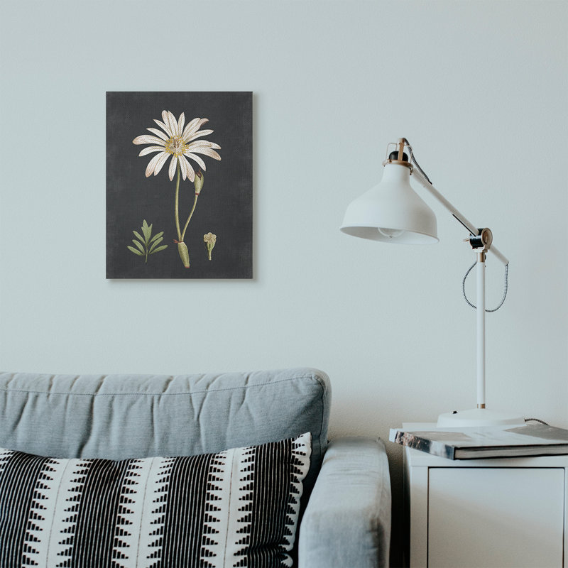 « botanique drawing white on black design », impression, Toile tendue, H 20 po x l 16 po