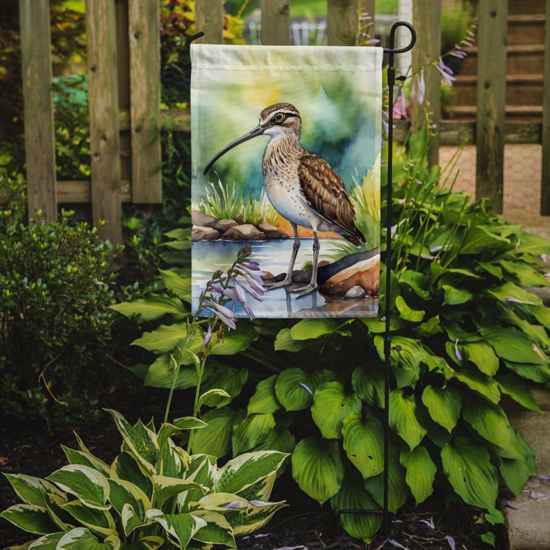 Drapeau de jardin Surfbird Bird, Whimbrel
