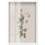 Art botanique Woodland Gem Shadowbox par Art Remedy