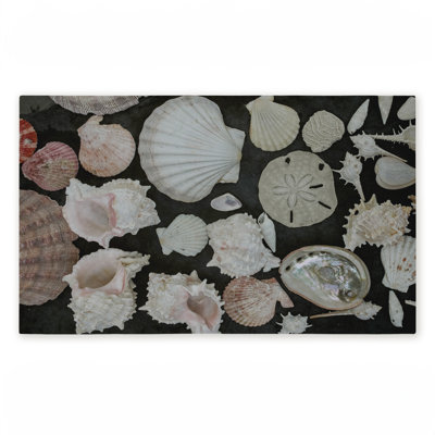 Tapis de porte d'extérieur imprimé Summer Shells, par Amy Carroll, 18 po x 30 po