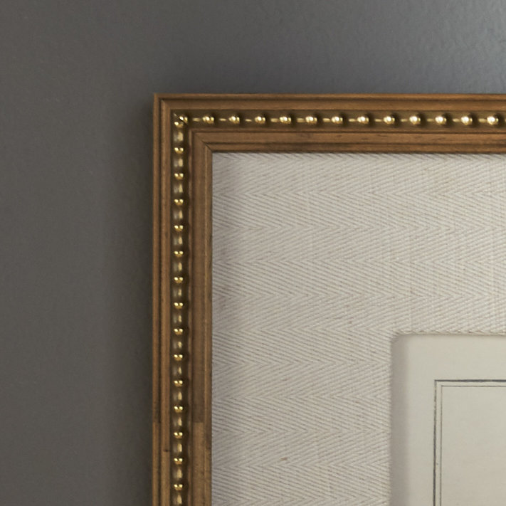 Floral Botanical Study - 6 Piece Single Picture Frame Print