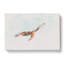 Black Kite Bird - Wrapped Canvas-56665158