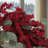 Mina Faux Polyester 29'' Wreath