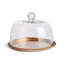 Serving Tray with Cloche-2069166718