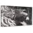 Brampt Chalk Lion-107852709