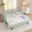 Daybed With Trundle Twin Size Sofa Bed-162631920