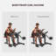 Preacher Curl Bench