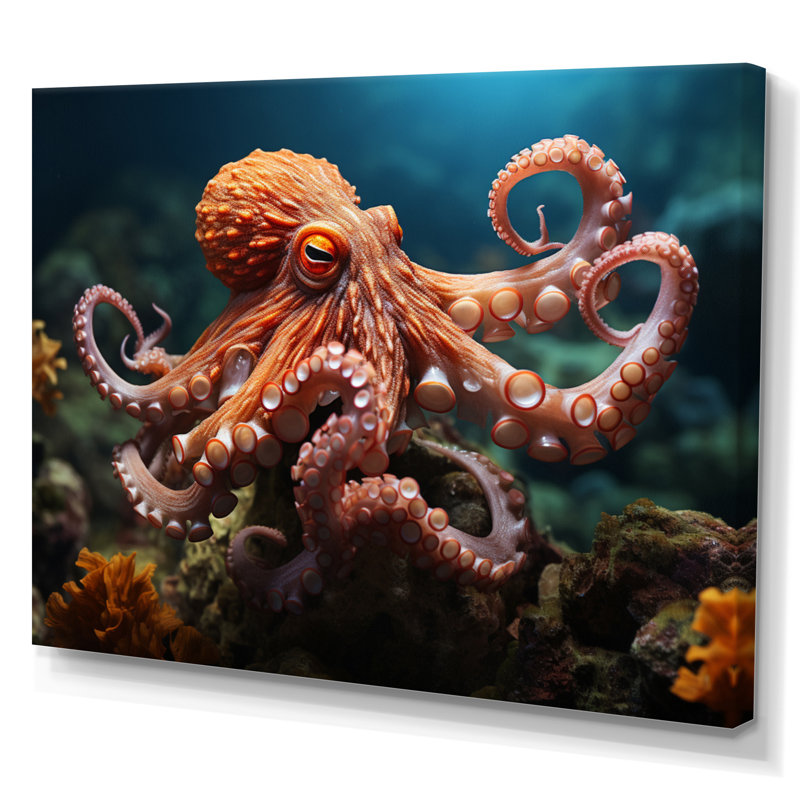 Corail Octopus Serene submersion II - pieuvre, art mural, Toile tendue, H 12 po x l 20 po x P 1 po