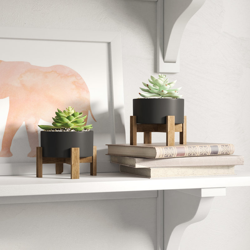 Ensemble de 2 plantes grasses artificielles dans un pot, Brun / Noir